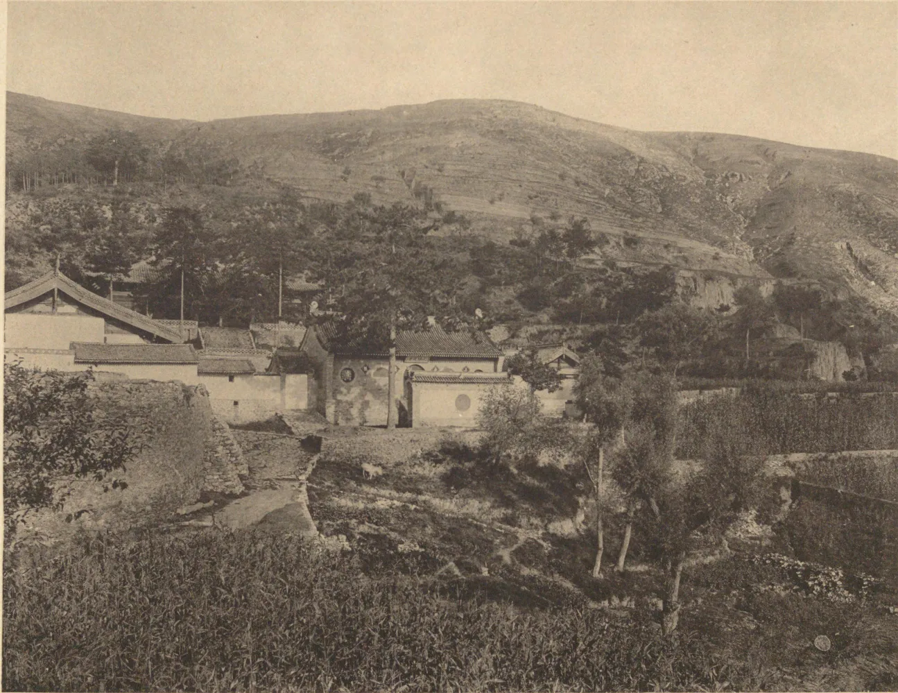 Tempio Foguang - foguangsi old 01
