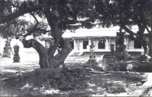 泉州開元寺 - quanzhou kaiyuansi old 04