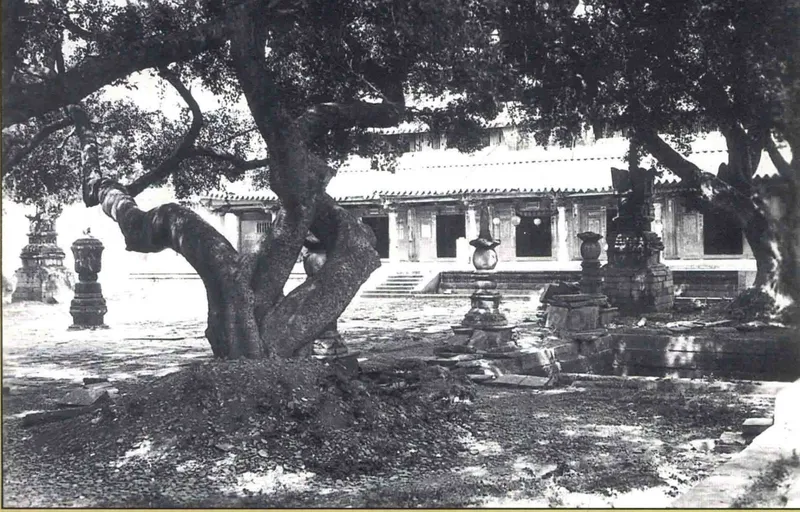 《中國古建築圖典》第二卷所收泉州開元寺大殿庭院舊影